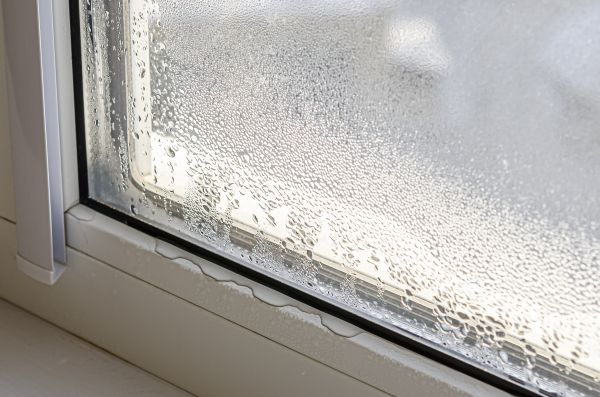 Cost of Leaky Window Repair in Santa Rosa